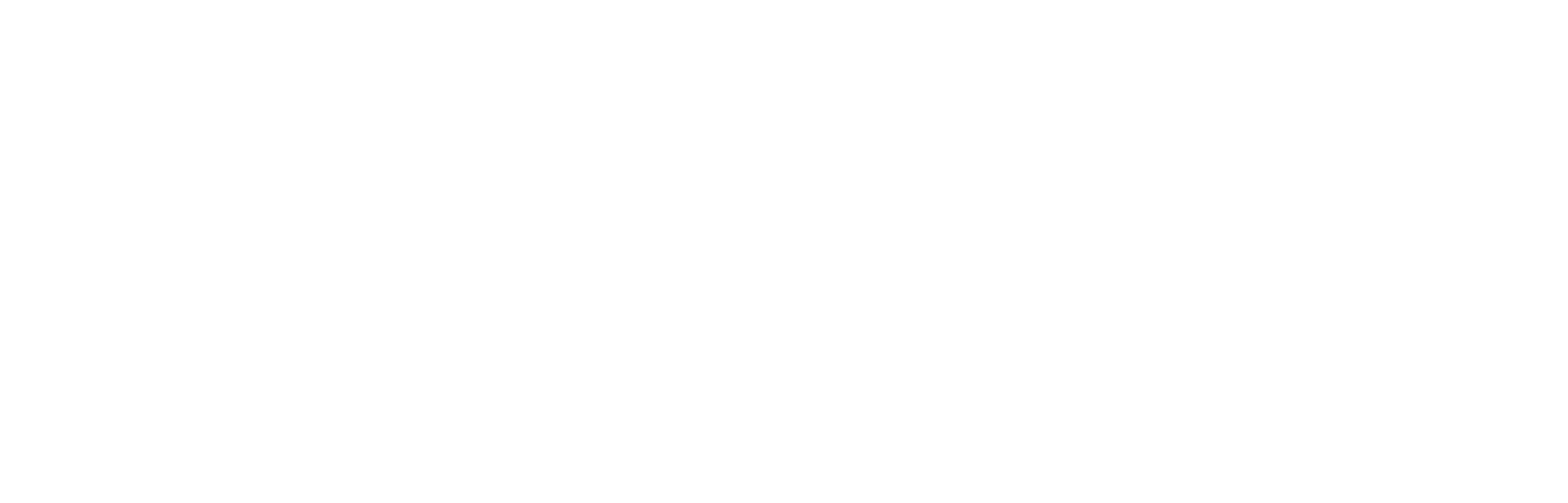 Logo de Connect en color blanco